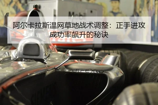 a-er-ka-la-si-wen-wang-cao-di-zhan-shu-tiao-zheng-zheng-shou-jin-gong-cheng-gong-lv-biao-sheng-de-mi-jue-3-483.jpg