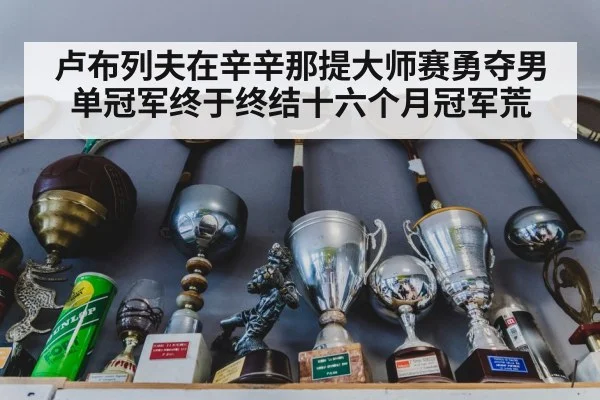 卢布列夫在辛辛那提大师赛勇夺男单冠军终于终结十六个月冠军荒